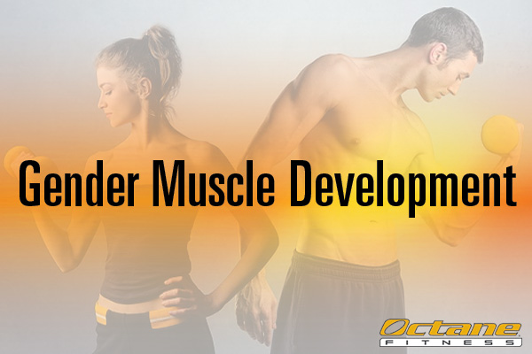 有趣的事實:女性和男性的肌肉發展