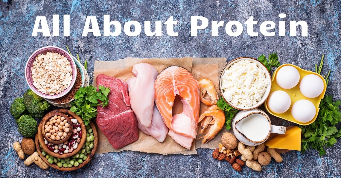 關於蛋白質